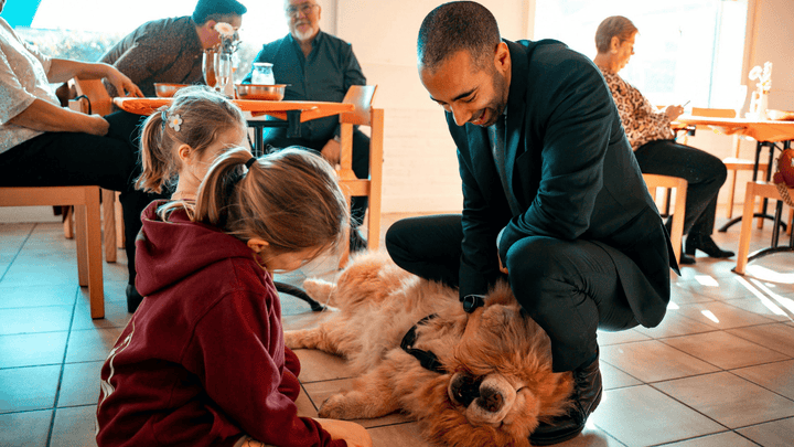 🐕🚪 Hund & Besuch – wenn soziale Nähe Stress erzeugt