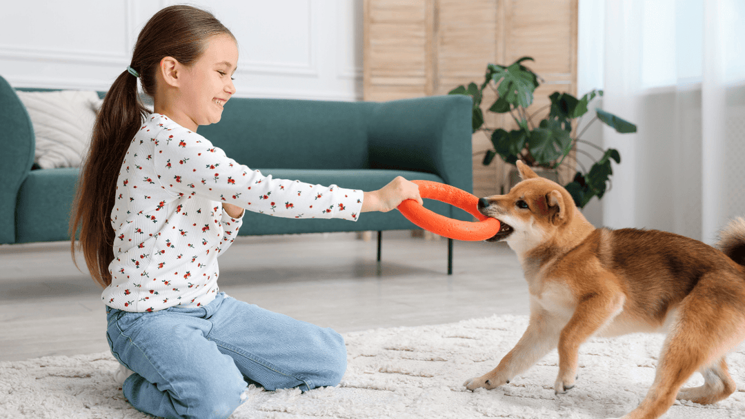 🐕🧒👣 Hund & Kleinkind – Bewegung trifft Grenzen