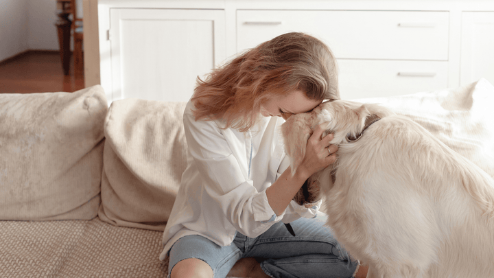 Hund & Kommunikation – wie Missverständnisse entstehen