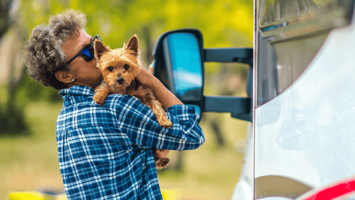 Hunde ans Wohnmobil gewöhnen