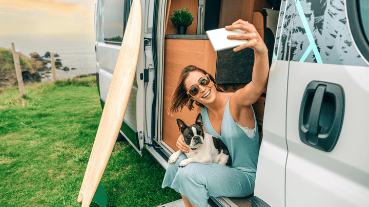Hunde im Wohnmobil