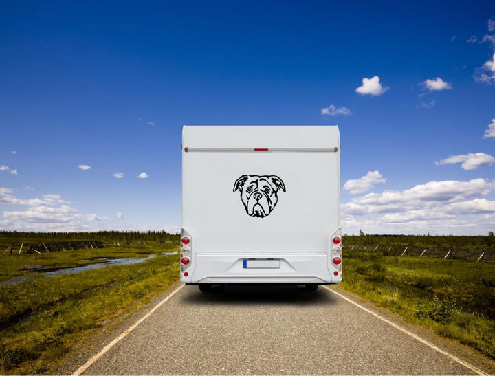 Continental Bulldogge Kopf Auto Wohnmobil Aufkleber l Wandtattoo
