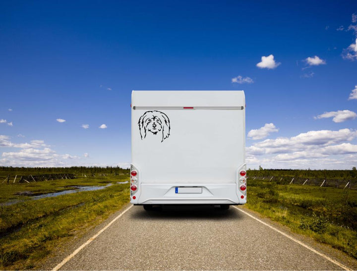 Coton de Tulear Kopf Auto Wohnmobil Aufkleber  I Wandtattoo