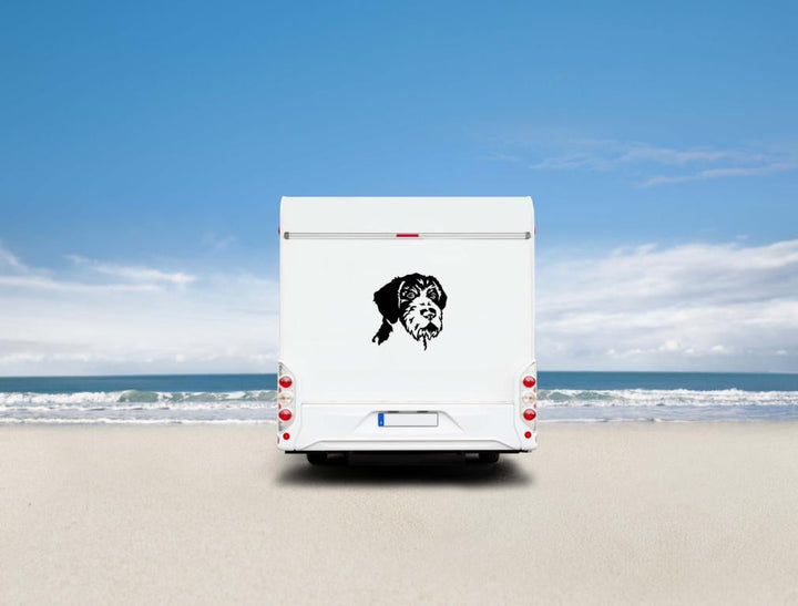 Deutsch Drahthaar Kopf Wohnmobil Aufkleber I Wandtattoo