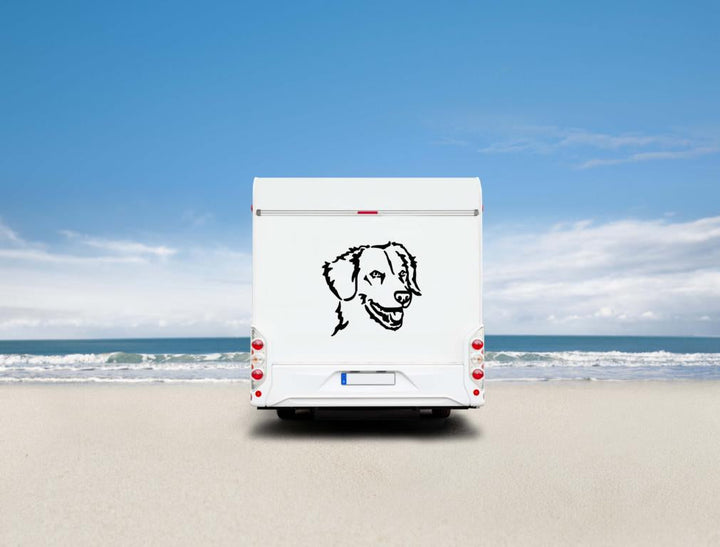 Duck Tolling Retriever Kopf Wohnmobil Aufkleber  I Wandtattoo