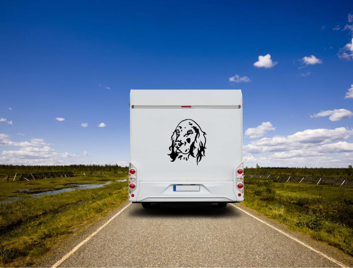 English Setter Kopf Wohnmobil Aufkleber  I Wandtattoo