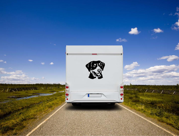 Entlebucher Sennenhund Kopf Wohnmobil Aufkleber  I Wandtattoo
