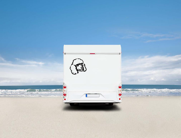 Zwergpudel /Kleinpudel Kopf Auto Wohnmobil Aufkleber I Wandtattoo