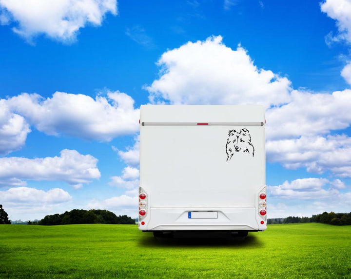 Sheltie Shetland Sheepdog Kopf Auto Wohnmobil Aufkleber  I Wandtattoo
