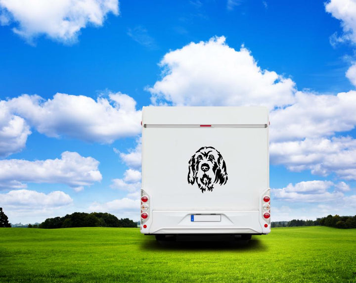 Spinone Italiano Kopf Auto Wohnmobil Aufkleber  I Wandtattoo