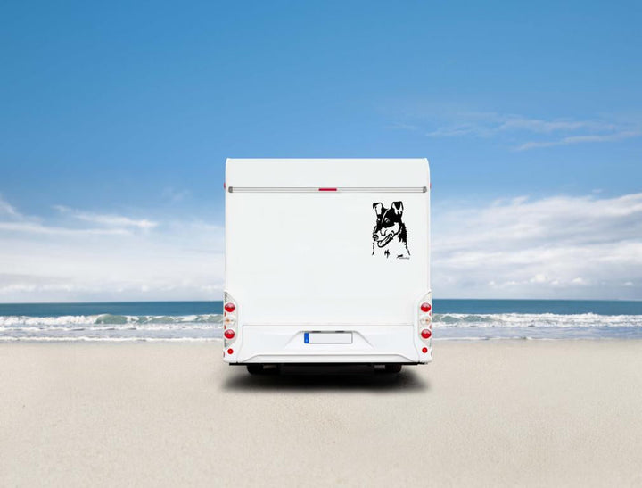 Collie Kurzhaar Kopf Auto Wohnmobil Aufkleber  I Wandtattoo