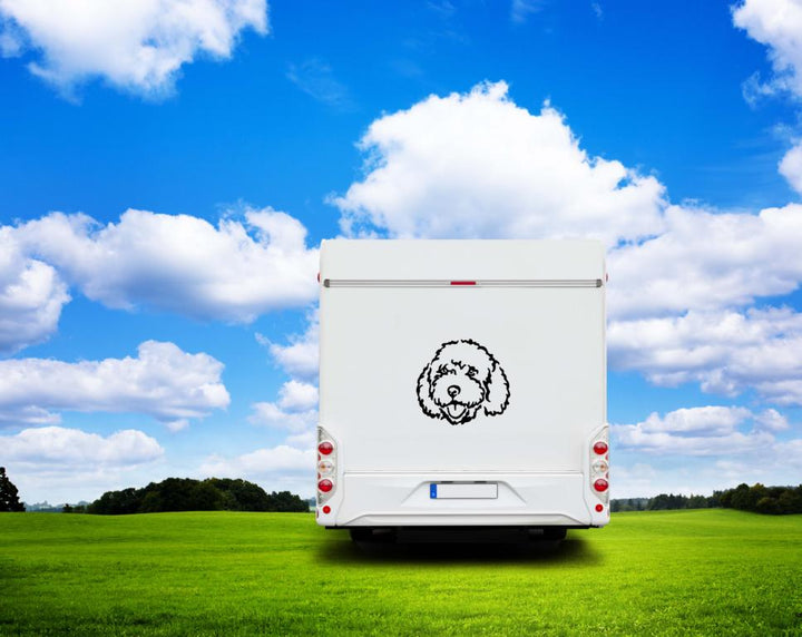 Spanischer Wasserhund Kopf Silhouette Auto Wohnmobil Aufkleber I Wandtattoo
