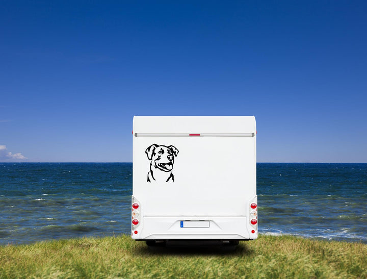 Bardino Kopf Auto Wohnmobil Aufkleber I Wandtattoo