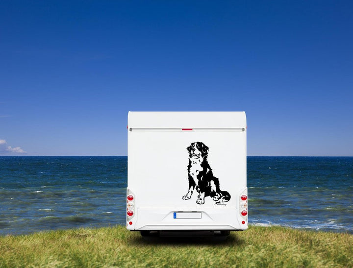 Berner Sennenhund Wohnmobil Aufkleber  I Wandtattoo
