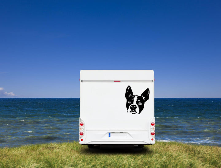 Boston Terrier Kopf Wohnmobil Aufkleber I Wandtattoo