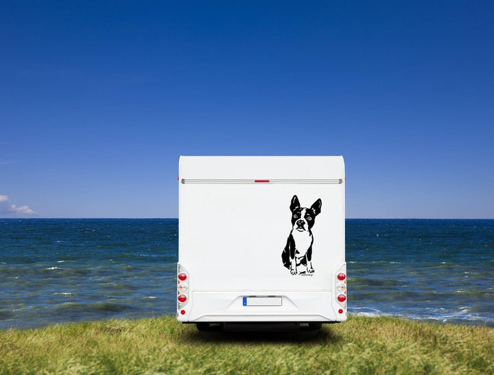 Boston Terrier Wohnmobil Aufkleber  I Wandtattoo