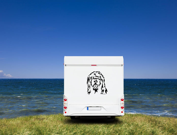 Briard Kopf Wohnmobil Aufkleber I Wandtattoo