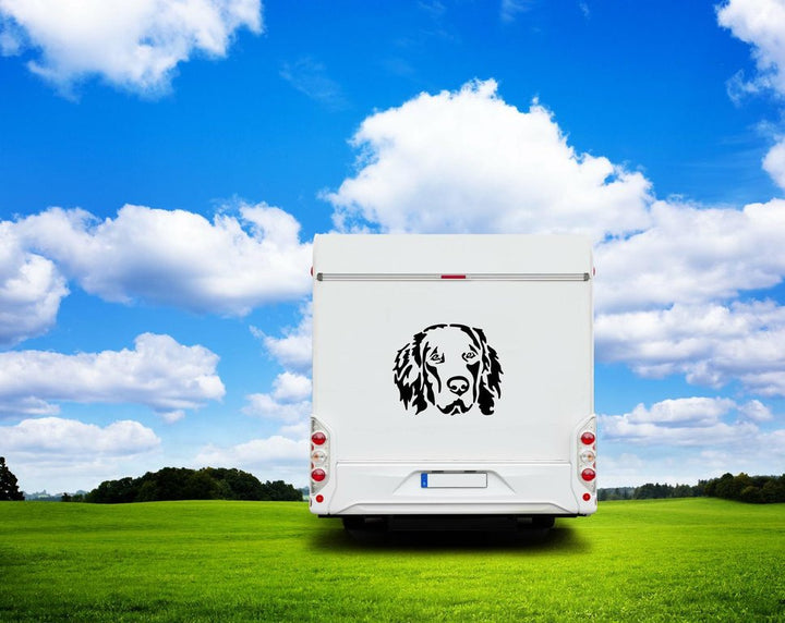 Hovawart Kopf Auto Wohnmobil Aufkleber I Wandtattoo