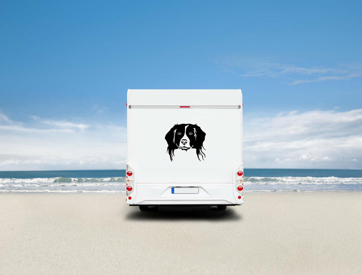 Kooikerhondje Kopf Auto Wohnmobil Aufkleber  I Wandtattoo