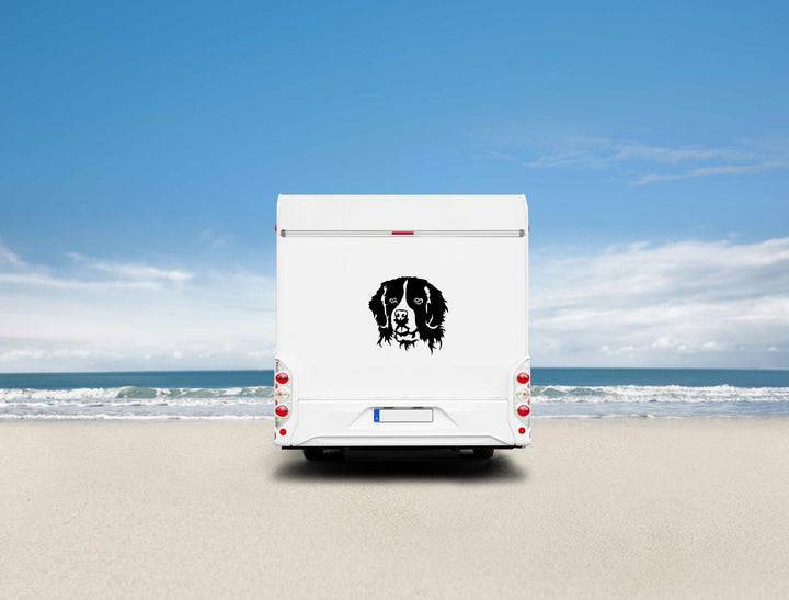 Landseer Kopf Auto Wohnmobil Aufkleber l Wandtattoo
