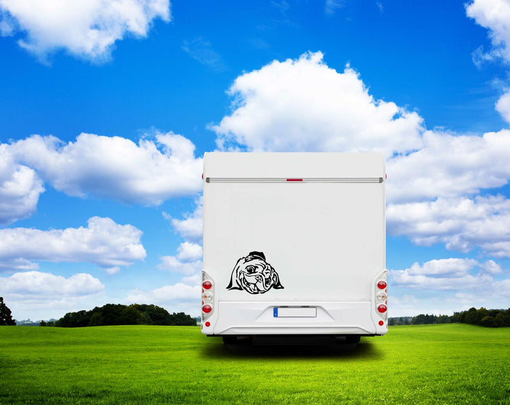 Mops Kopf verspielt Wohnmobil Aufkleber I Wandtattoo