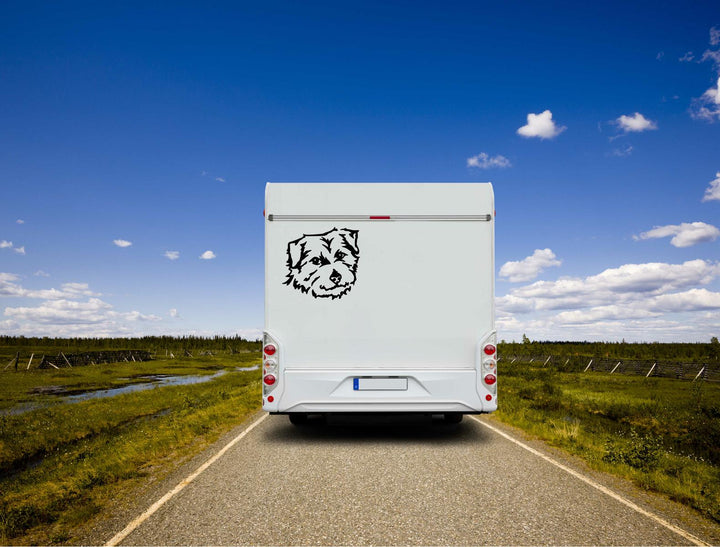 Norfolk Terrier Kopf Auto Wohnmobil Aufkleber  I Wandtattoo