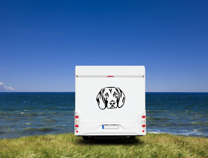 Bayerischer Gebirgsschweißhund Kopf Wohnmobil Aufkleber l Wandtattoo