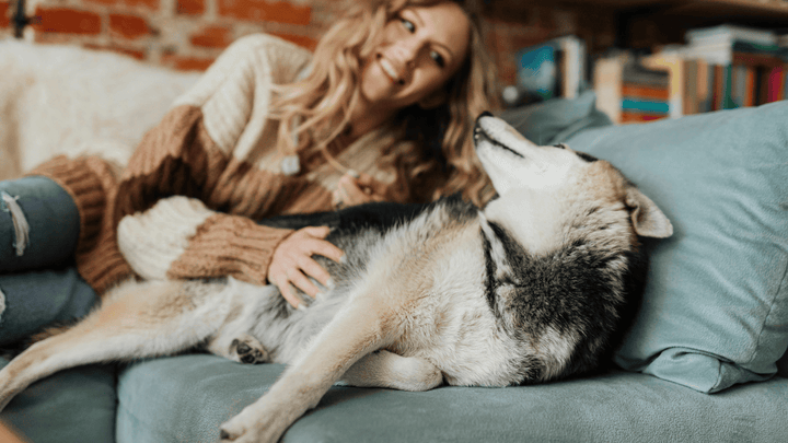 🐕⏰ Routinen im Hundealltag – warum Struktur Sicherheit schafft