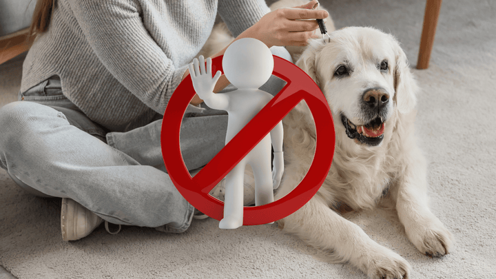 Typische Fehler beim Zeckenschutz beim Hund ❌