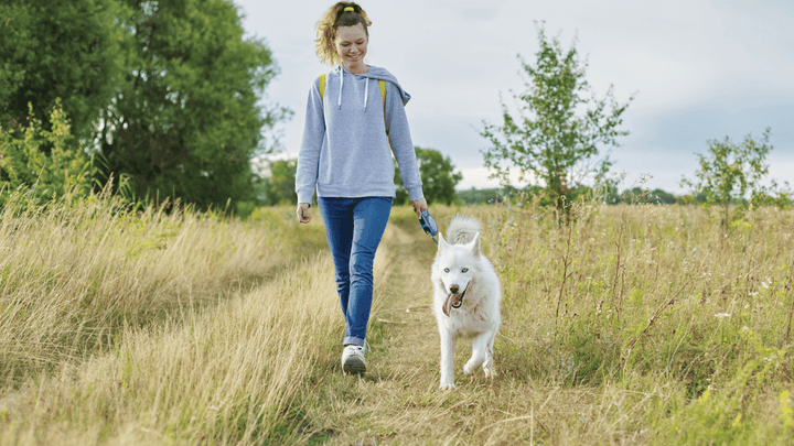 🐕🧭 Verantwortung im Alltag – führen heißt vorausschauend handeln