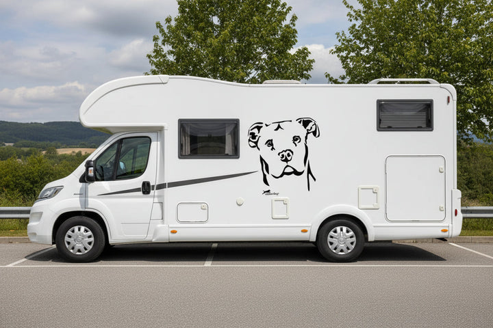 Dogo Argentino Kopf Aufkleber - Wandtattoo