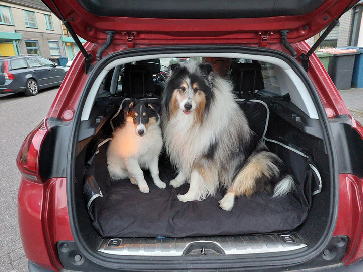 Autoaufkleber für Hundefans Stilvolle Designs für Rassen
