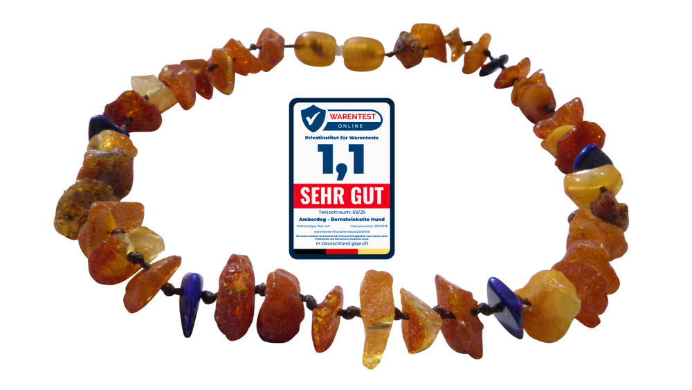 Bernsteinhalsband Lapislazuli für Hunde mit Testsiegel Sehr gut
