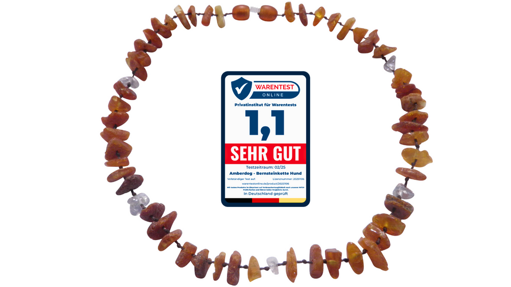 Hunde Bernsteinkette Bergkristall mit Testsiegel Sehr gut