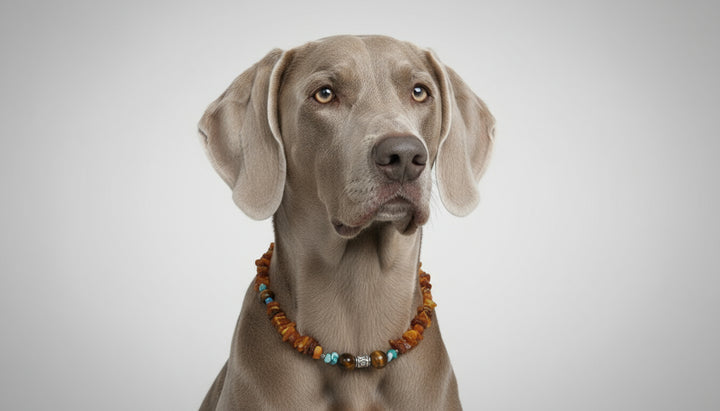 Bernsteinkette Tigerauge 42cm