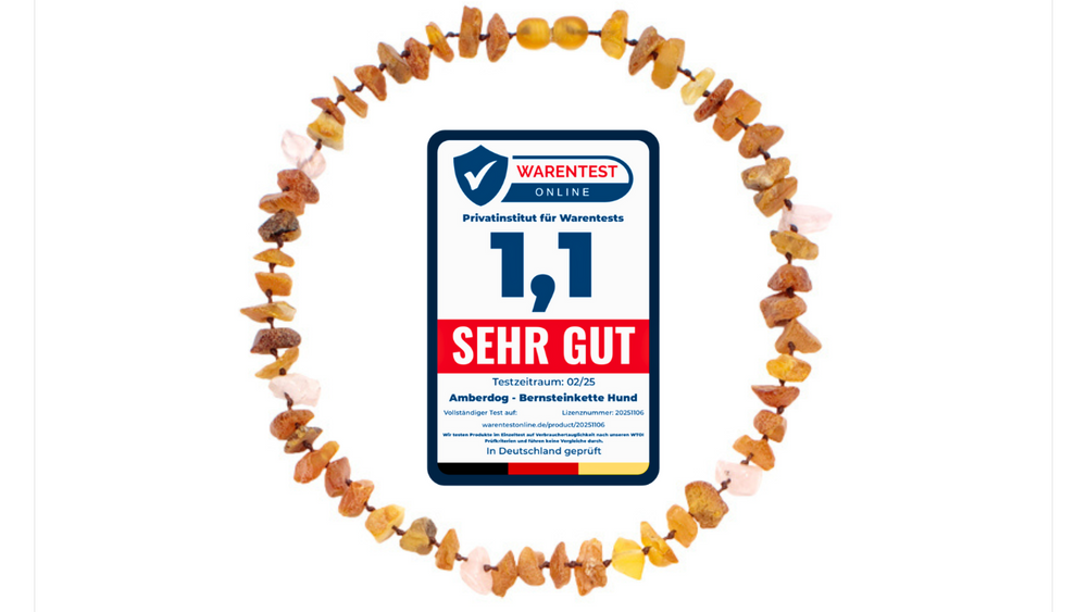 Bernsteinhalsband Rosenquarz für Hunde mit Testsiegel Sehr gut