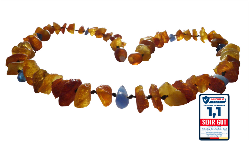 Bernsteinhalsband Blauquarz für Hunde mit Testsiegel Sehr gut