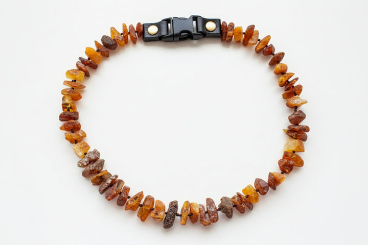 Bernsteinkette Hunde Größe L