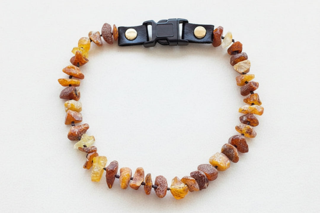 Hunde Bernsteinkette Click