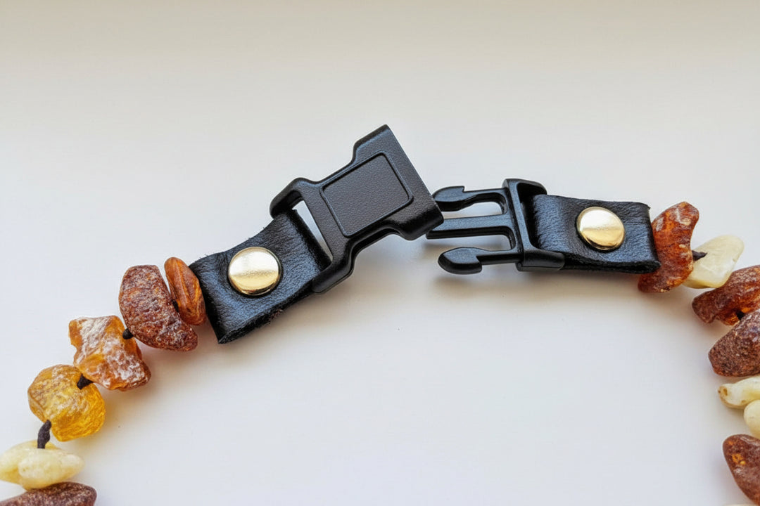 Hunde Bernsteinhalskette L Verschluss