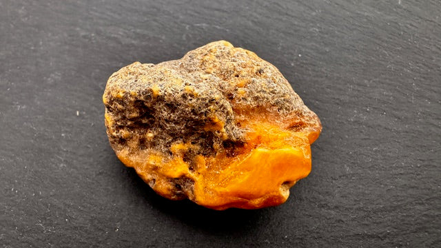 Rohbernstein14g
