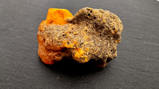 Rohbernstein14g Rückseite