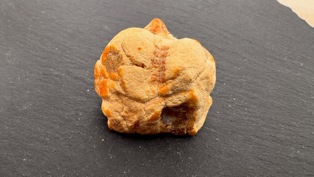 Baltischer Natur Bernstein 12,1g Rohbernstein Art.2123