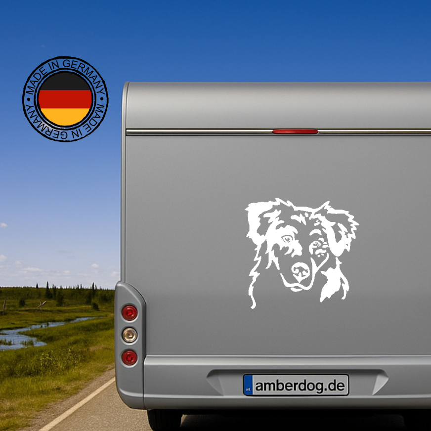 Australian Shepherd Kopf Aufkleber in Weiß am silbernen Wohnmobil-Heck – wetterfestes Wandtattoo- und Autoaufkleber-Motiv von amberdog