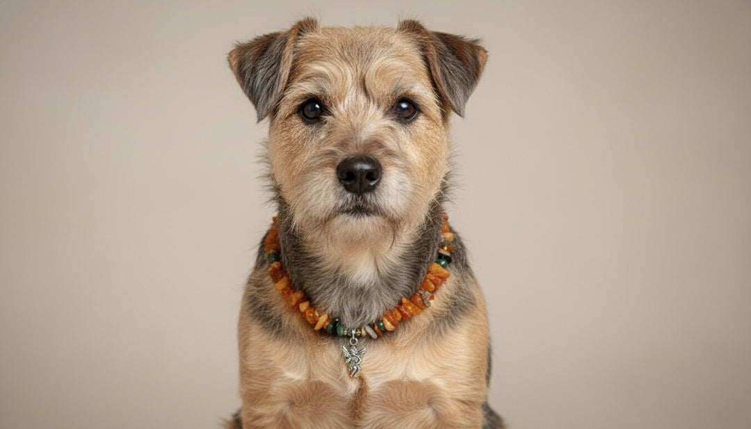 Bernsteinhalsband für den Hund Edelsteinmix Engel 32cm