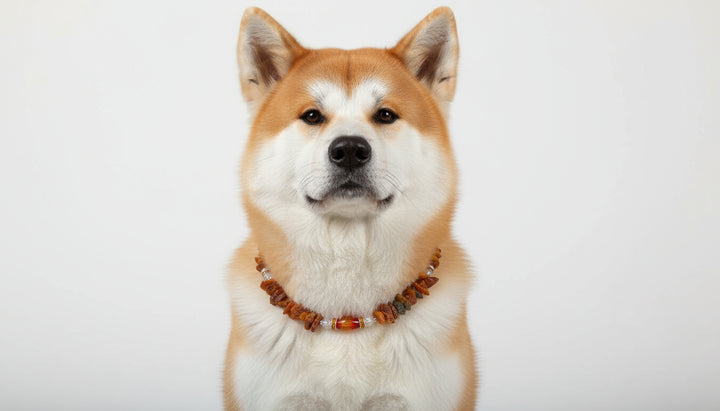 Bernsteinkette Achat & Bergkristall 46cm