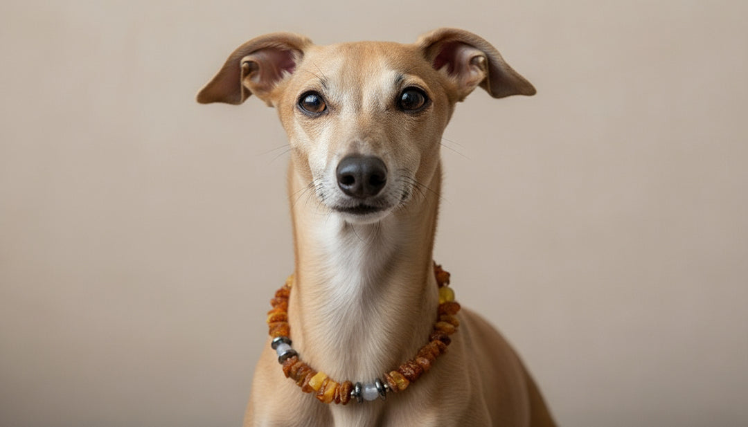 Bernsteinkette Achat & Hämatit 22cm