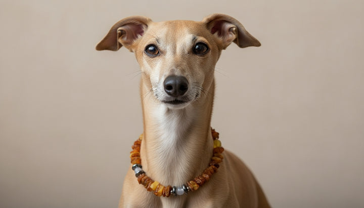 Bernsteinkette Achat & Hämatit 22cm