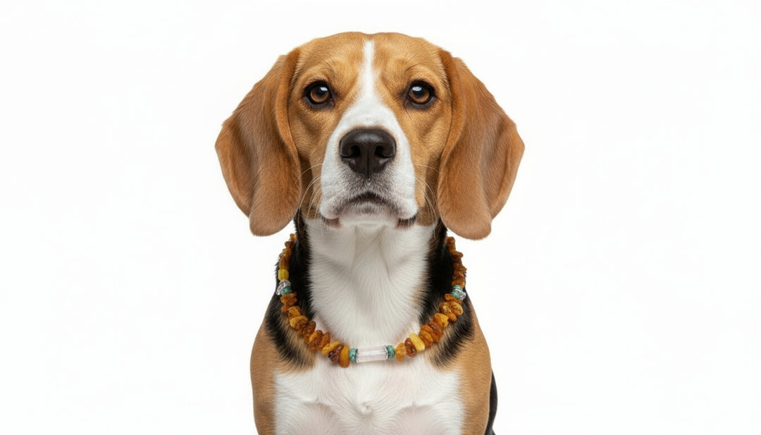 Bernsteinkette Bergkristall & Howlith 41cm