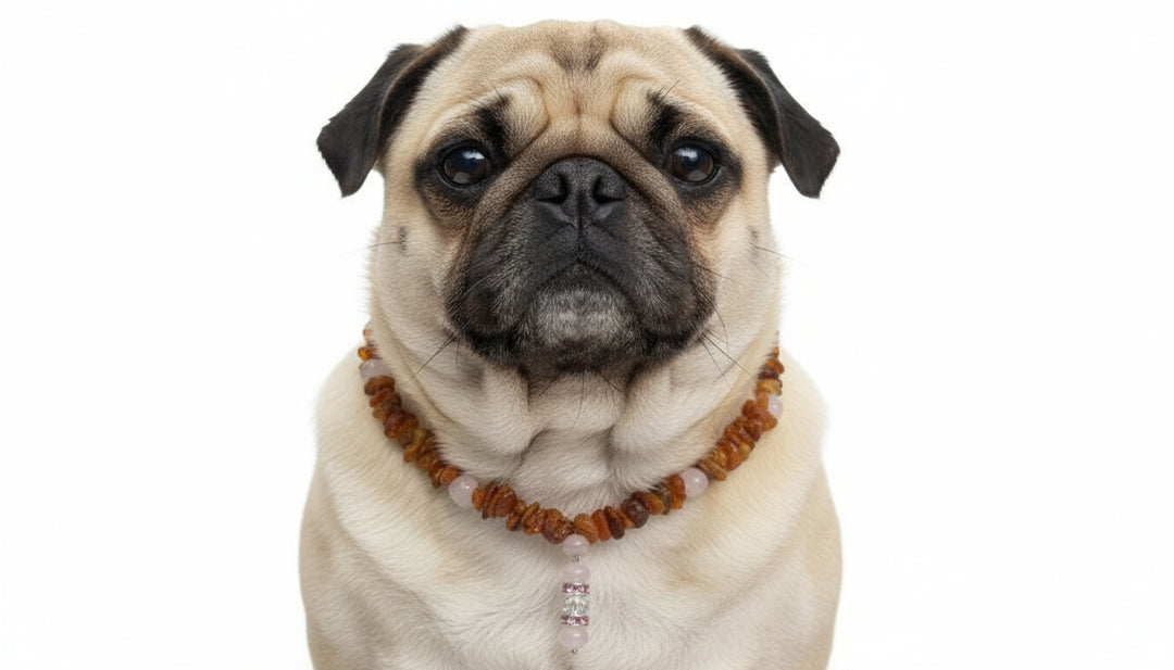 Bernsteinkette Bernsteinhalsband Hund Rosenquarz 47cm
